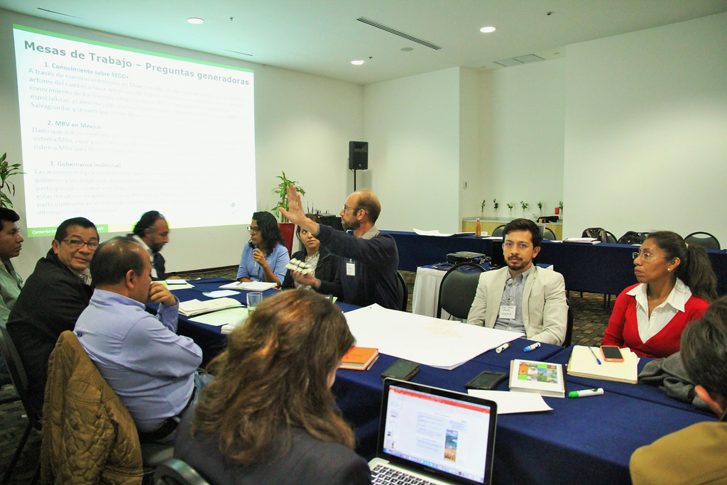 Mexico National Workshop on REDD+ on 25 May, 2017.