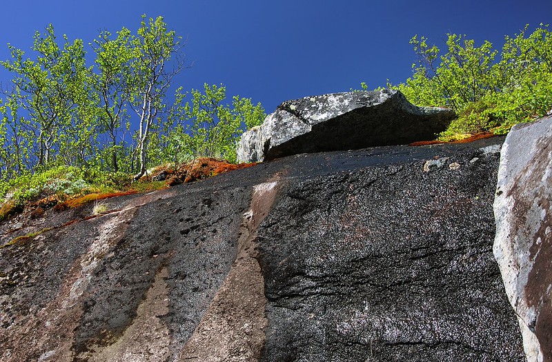 20160630-138F | Felsen am Aufstiegsweg zur Kjerna (650 m), Ofoten. Nordland / Norwegen, 30.06.2016
