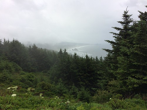 pacificocean oregon southcoast usa landscape trees green paisaje mar océano roadtrip naturaleza niebla fog montaña bosque scenicview
