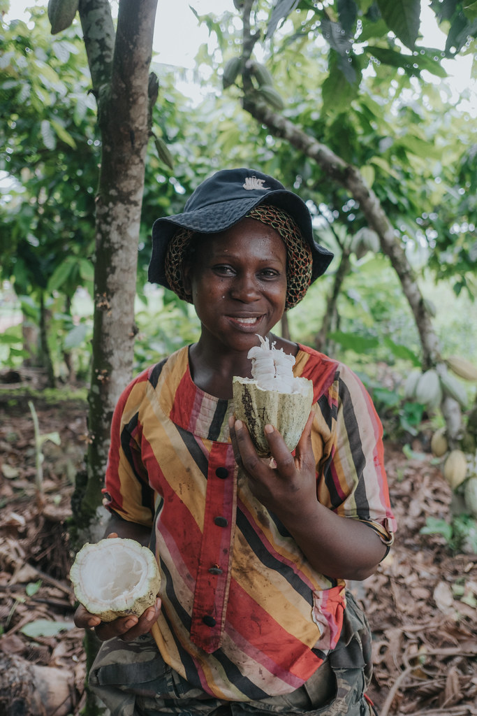 Rachel Olo (Married, 5 children) We have one hectare of land planted with cocoa. We manage to extract 800 Kgs...