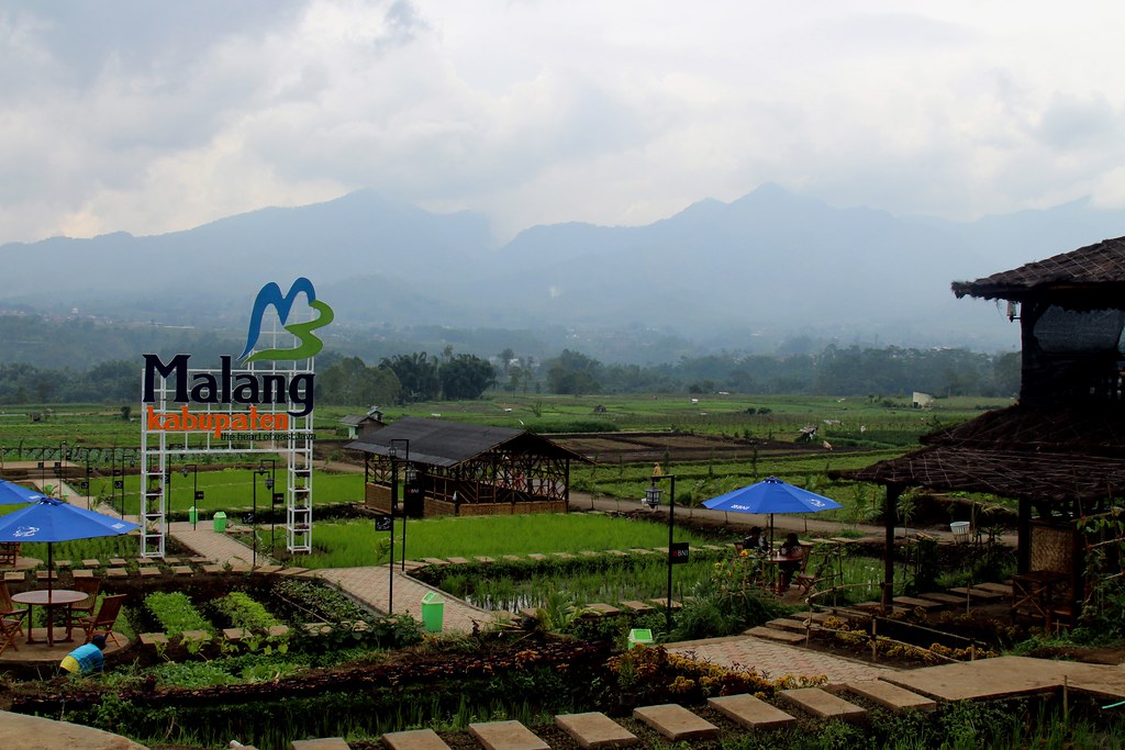 Cafe Sawah
