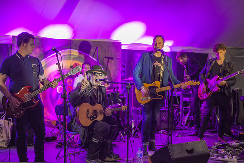 MindField at Electric Picnic 2017