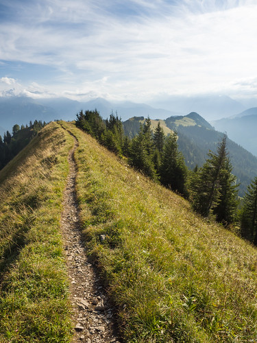Ridgetop path | by James E. Petts