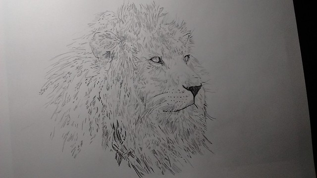 Art-Lion3