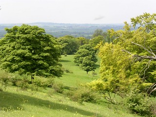 View from Chiltern Escarpment 