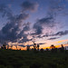 Sunset at West Bali National Park