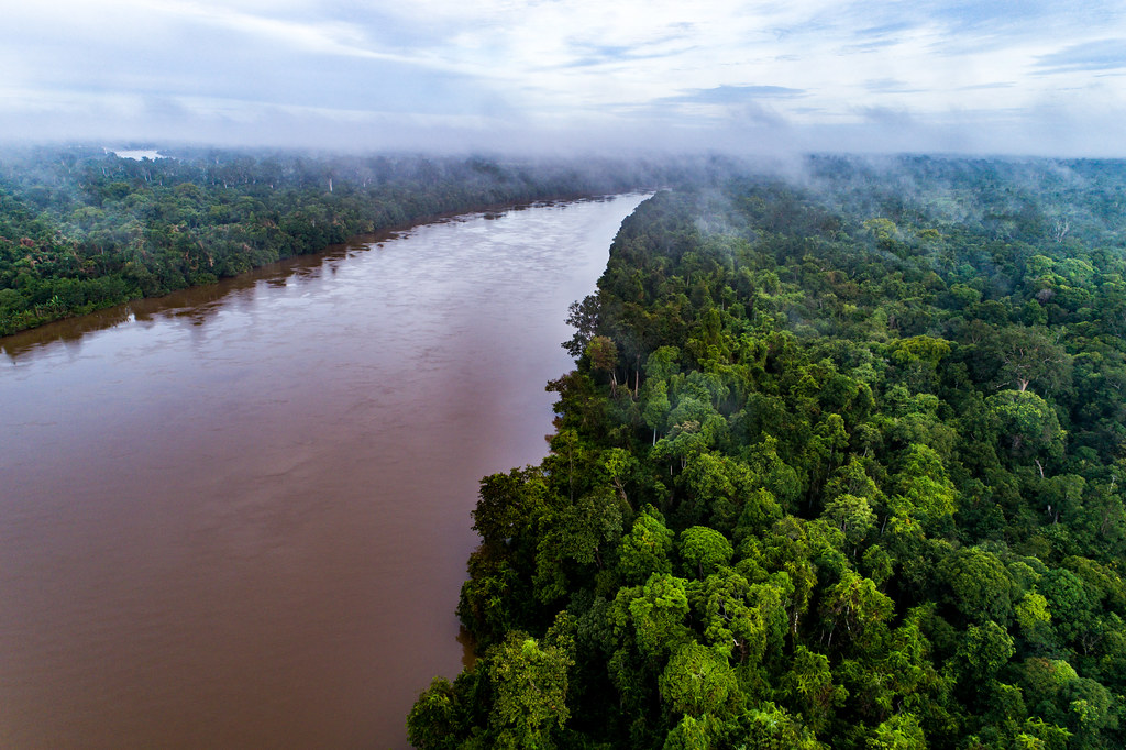 Katingan river and peatland forest in Parupuk village, Katingan. Central Kalimantan.