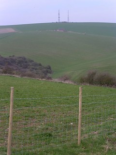 Looking back across the Downs 