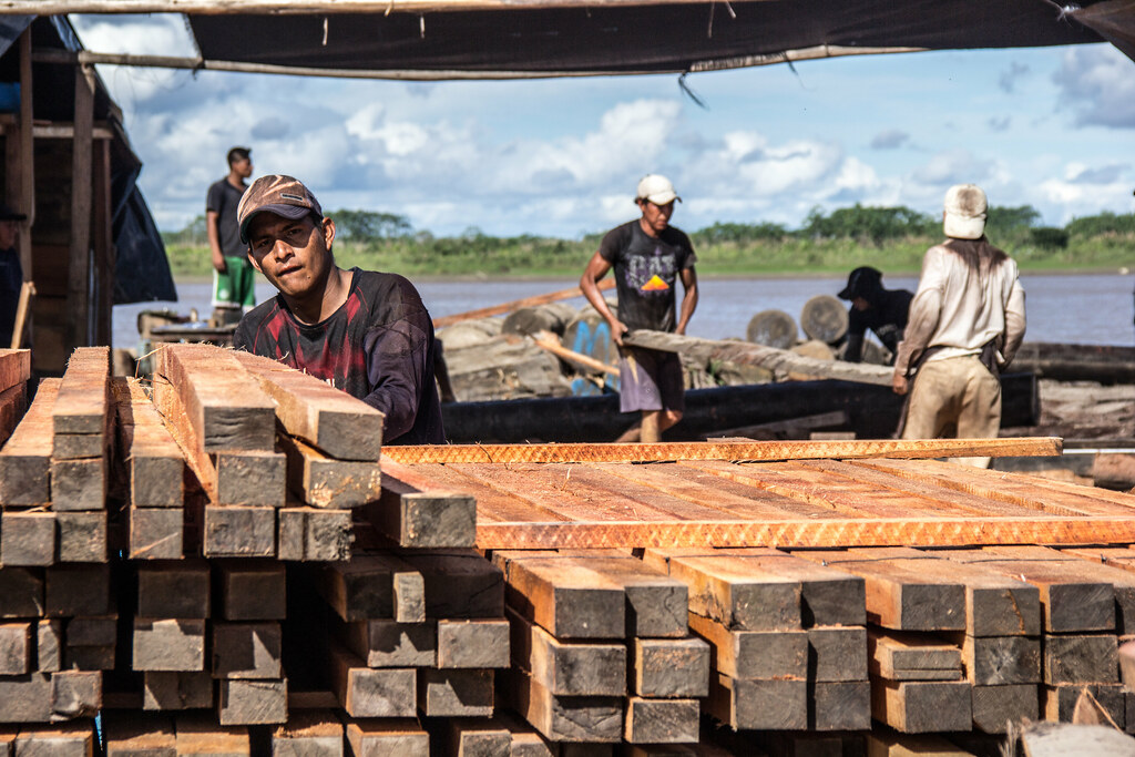 Bolaina workers, Ucayali river. Photo by Juan Carlos Huayllapuma/CIFOR cifor.org...
