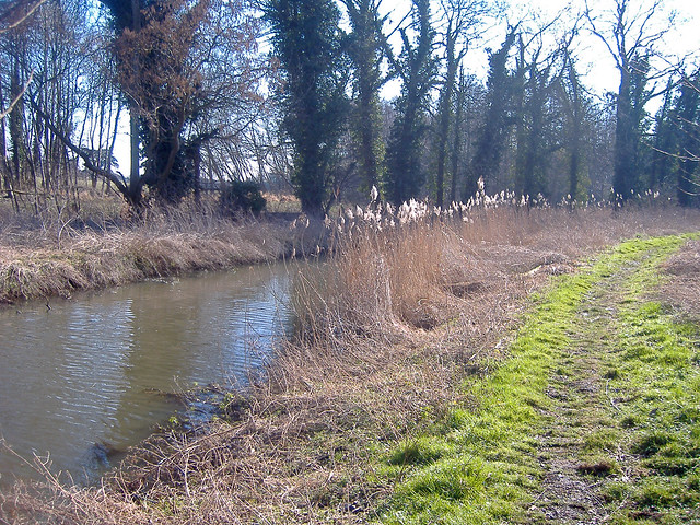 River Lark at Fornham All Saints