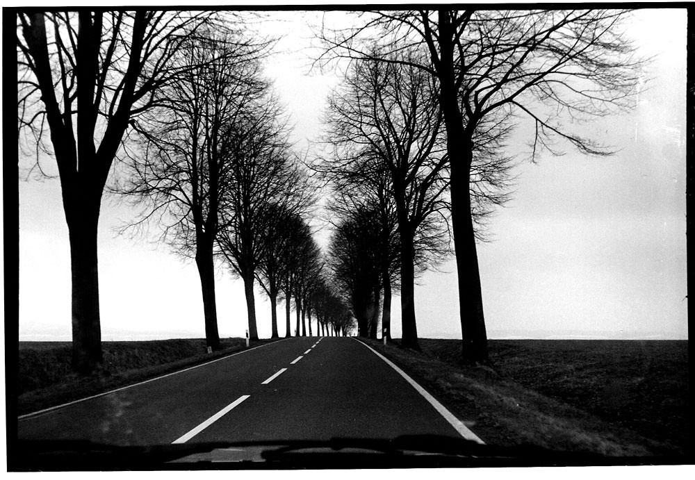 Einbeck 2000 | Road from Wenzen to Einbeck | Ted Sherarts | Flickr