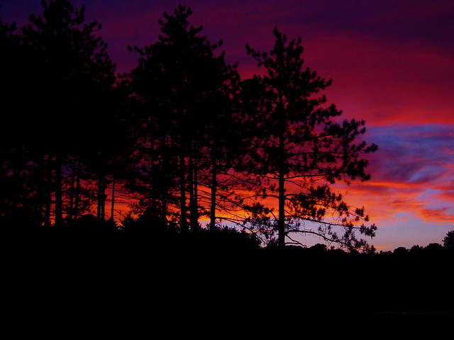 Angry Sunset Angry sunset | This photo was taken at Pleasant Vineyard, a … | Flickr