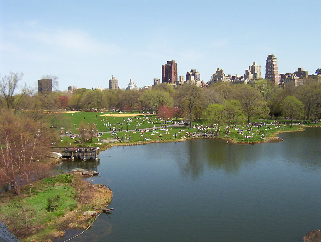 The Great Lawn - Central Park | The view from Belvedere Cast… | Flickr