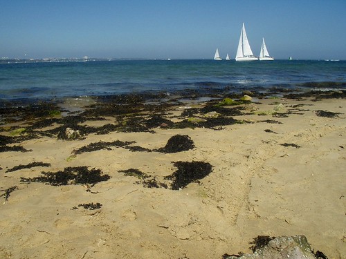 Shell Bay | by JonCombe