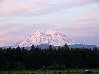 Pink Mountain