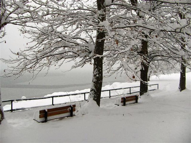 Bosisio Parini, Snow and Lake; Bosisio Parini, Neve al Lago