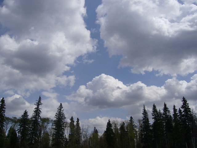 Big Alberta Sky