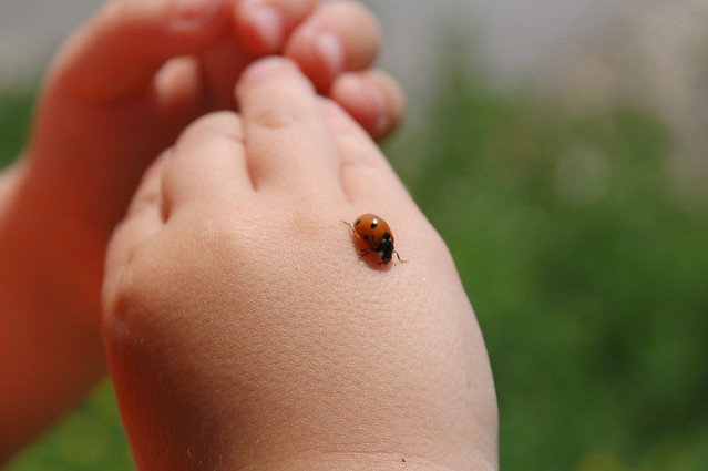 Gregor holding a ladybug