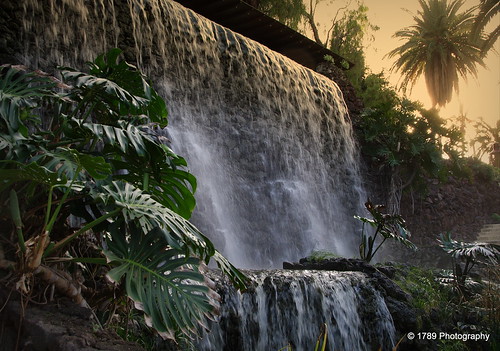 waterfall water park parque taoro tenerife puertodelacruz sunset sky plants nature outdoor palm spain españa landscape