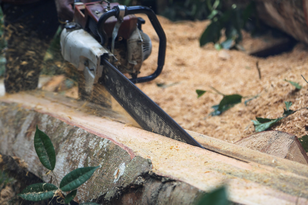 A man cut the big log of tree into small wood cut.
