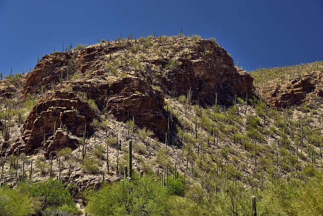 Uneven and Rough Hillsides While in Sabino Canyon