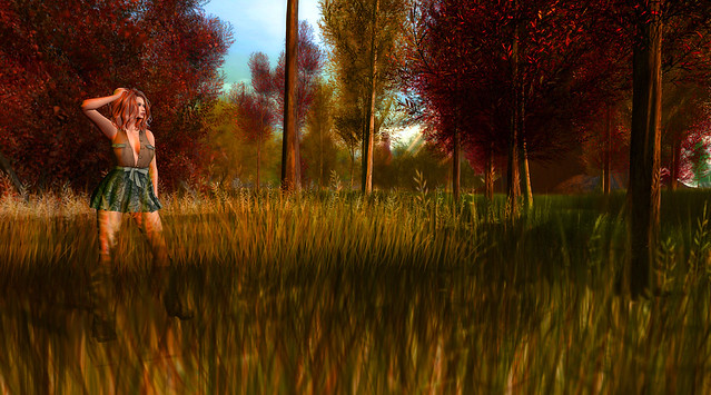 Now where did I leave my map?  .... shot at the Alirium sim