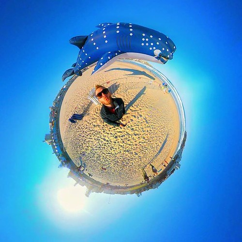 Flying fish! | by LIFE in 360