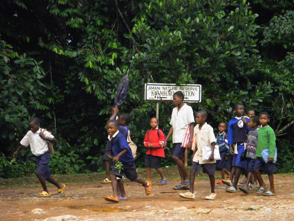 Kids going to school past Amani Nature Reserve headquarters.Tanzania.