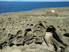 Sandstone erosion, Galiano Island