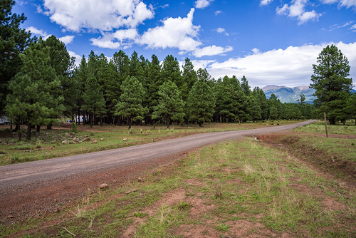 arizona coconinonationalforest fr222 flagstaffrangerdistrict forestroad222 forestservice pentaxk1 usfs camp camping dispersedcamping flagstaff forest outdoors summer unitedstates