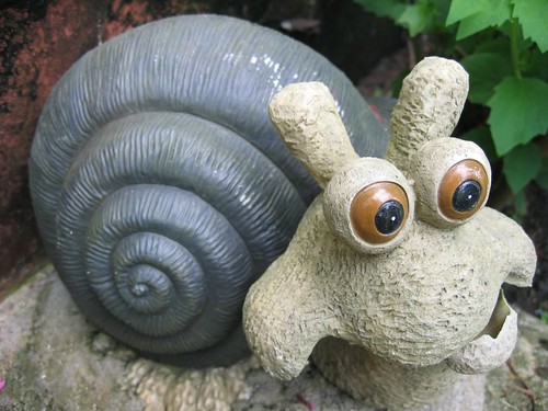 the snail 