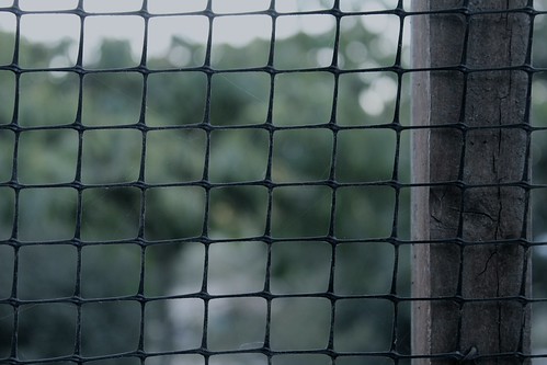 Flat Fence | by c.wolthausen
