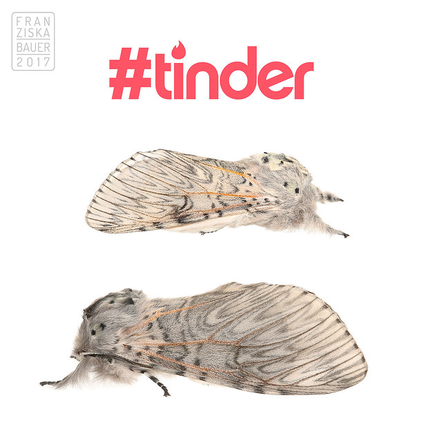 #tinder