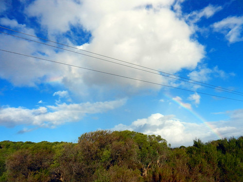 western australia mount singleton 2017 landscape ninghan station outback bush sky tree cloud dana iwachow nikon coolpix s9200