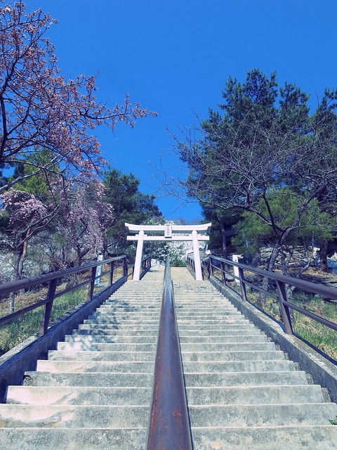 Abukuma Jinja Shrine 阿武隈神社