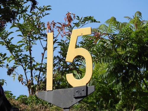 Numbers | by Diane E Reynolds