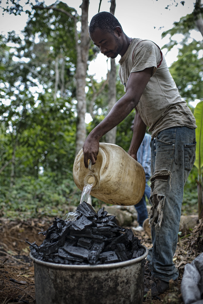 Cooling charcoal in a forest near Ovangoul village, Center Region, Cameroon.