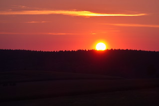 Sonnenaufgang über dem Bornwald
