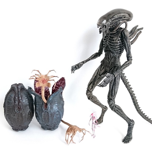 Xenomorph Chestburster Drawing
