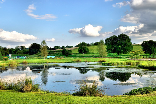 country pond pool fields cows reeds clouds sky reflection trees grass nikon sigma abinger surrey uk bourne 1000v40f