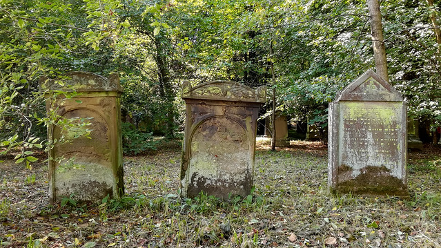 Der Jüdische Verbandsfriedhof auf dem Eichelberg