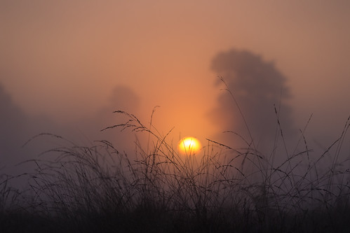20140902-Canon EOS 6D-3176 by Bartek Rozanski, sunrise at the moor. at leersumse veld, near maarsbergen, utrecht, netherlandsmaarsbergen utrecht ne