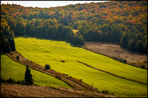 champs fields automne autumn