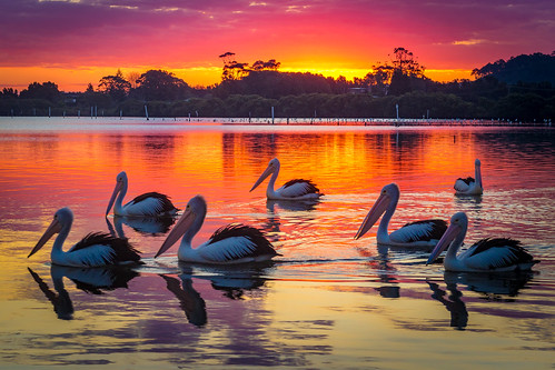 australia nsw shoalhavenheads sunset river newsouthwales au