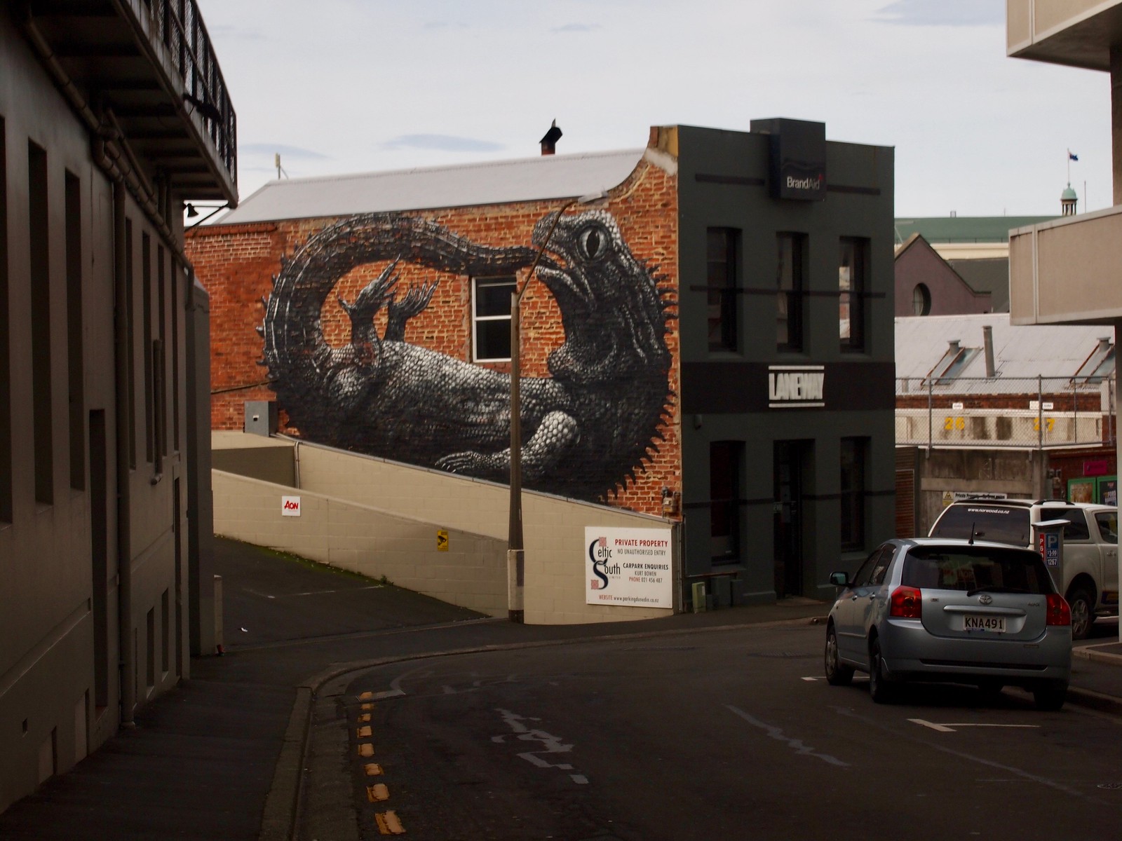 Tuatara Mural, Dunedin, New Zealand