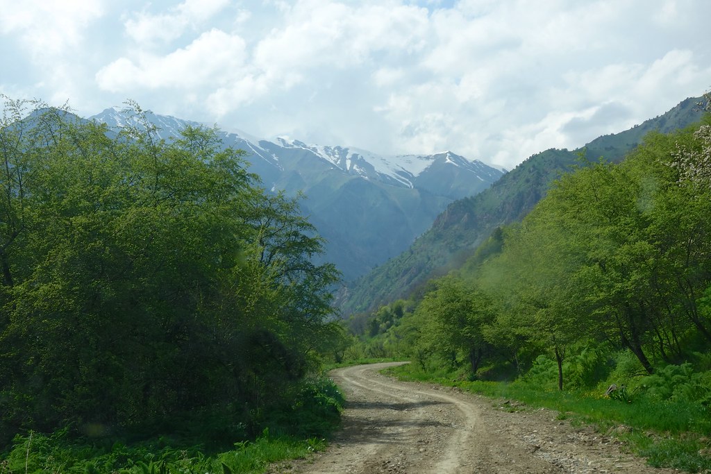 Аркит табасаранский. Аркит Киргизия. Село Аркит Кыргызстан. Природа Аркит. Аркит горы.