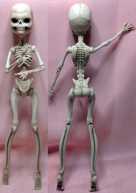 skeletonA01