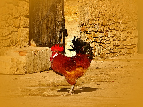el Jefe _ 1282 | by ricard_cayuela