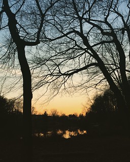Lake Braddock sunset