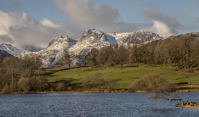 The Langdale Pikes from Loughrigg Tarn